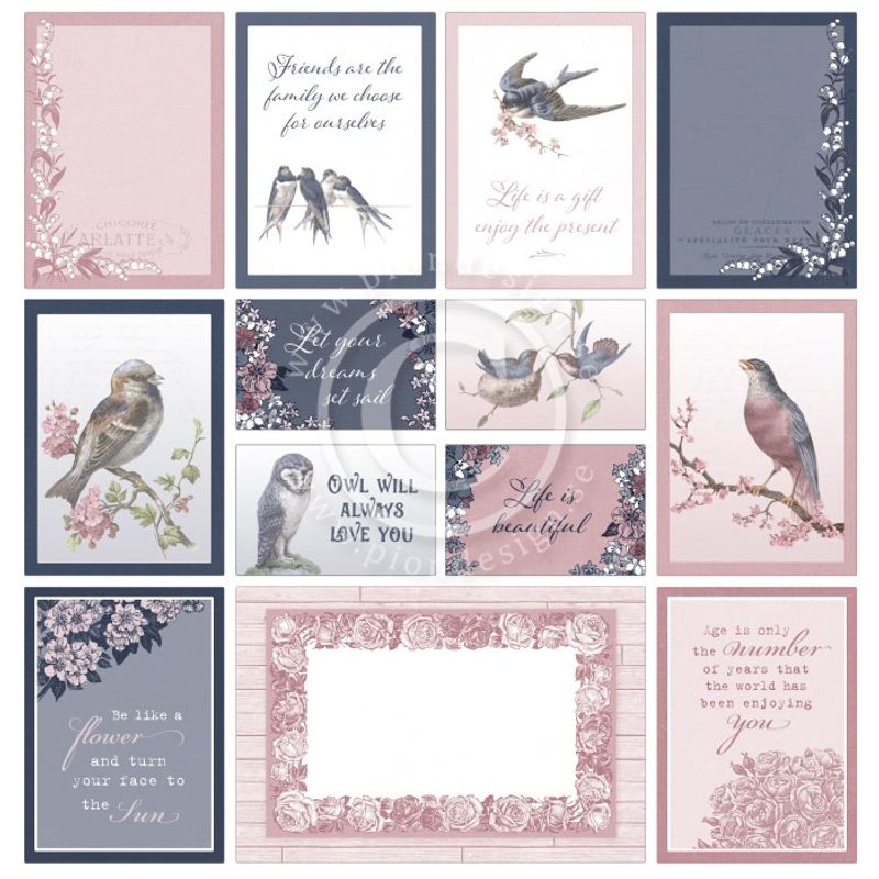 Pion Design - PD1648 - Everlasting Memories - Images from the Pa