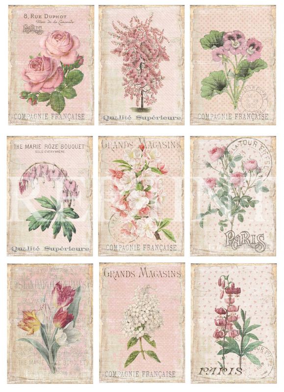 Reprint -  KP0073 - A4 Klippeark - Flower