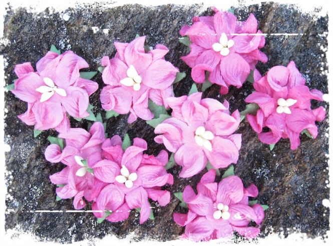 Hovedbilde Papirdesign - Gardenia, små - Rosa