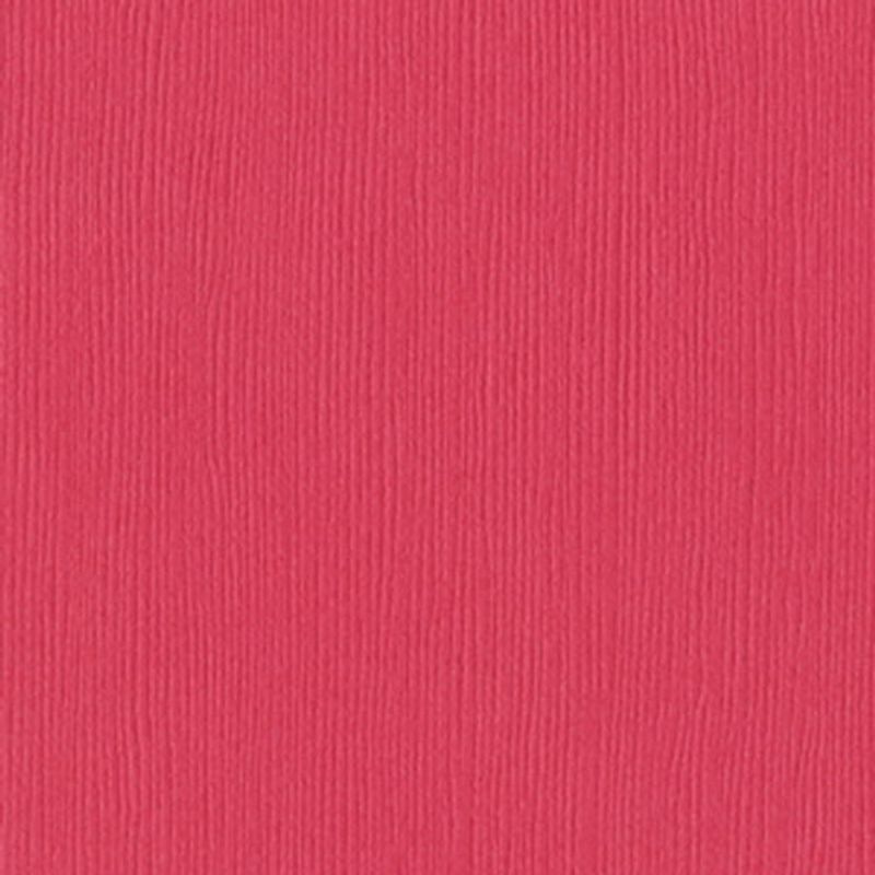 Bazzill - Fourz (Grass Cloth) - 1-134 - Passionate