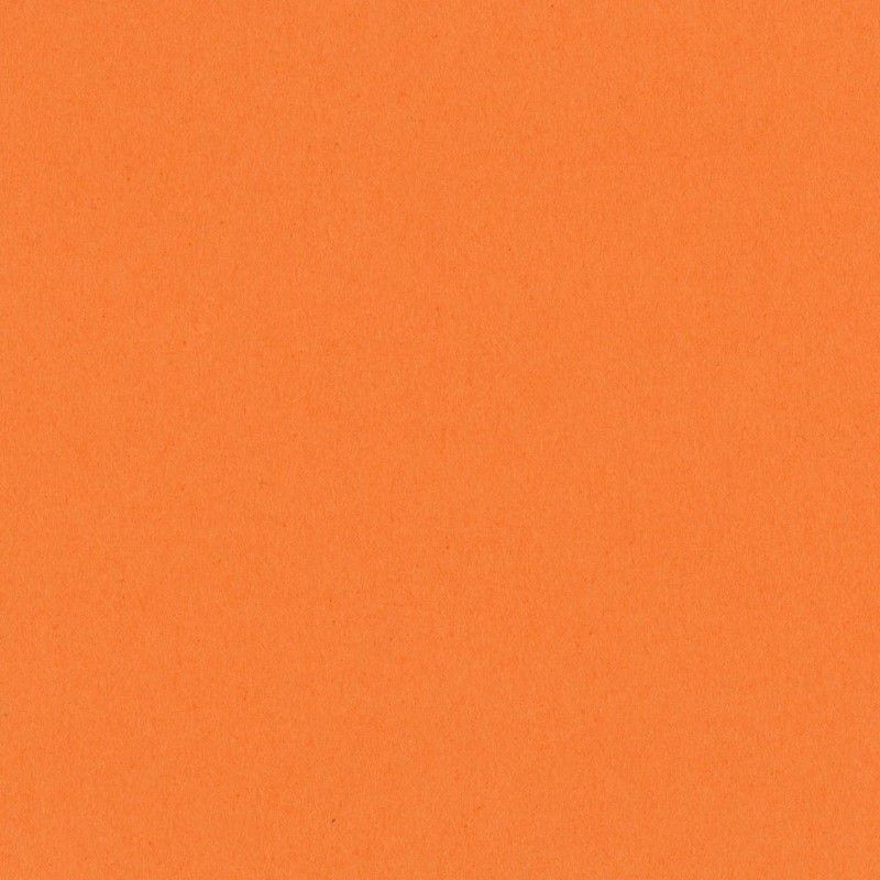 Bazzill - Smoothies - T3-345 - Marmalade Blast - 302218