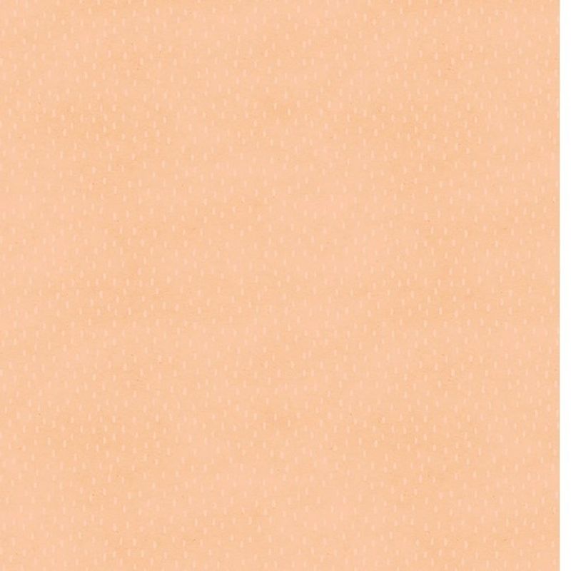 Studiolight -   12x12 - Ultimate Scrap Collection - SCRAP24