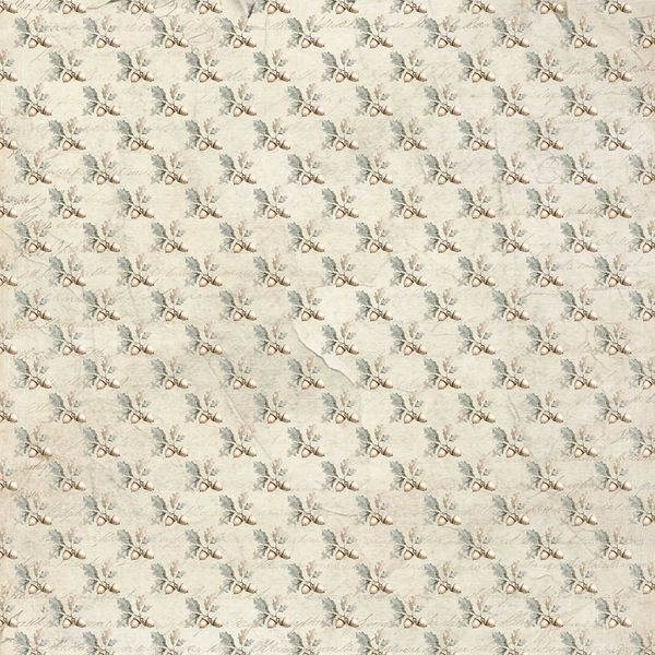 Reprint - 12x12 - RP0707 - Cozy Season - Acorn