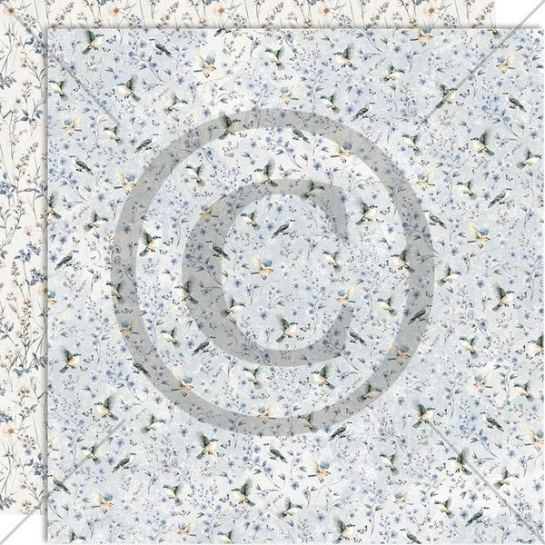Papirdesign - 12x12 - PD 1610 - Fremtidsdrøm - Suser avgårde