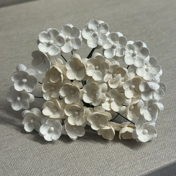 Papirdesign - Søte blomster - Hvite & Beige
