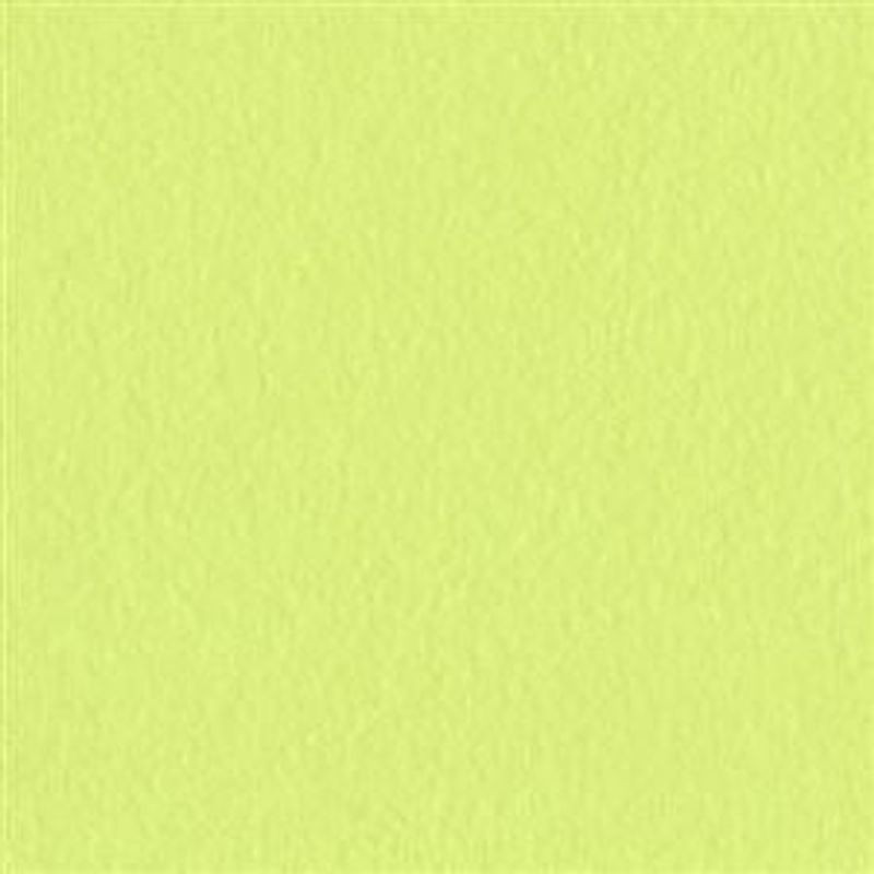Bazzill - Prismatic - T19-5336 - Frosted Kiwi *Misfarget/Falmet kant*