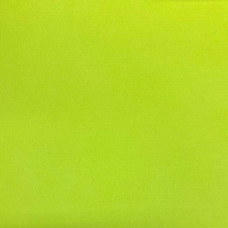 Canvas Cardstock - 12x12 - 373 - Limelight - 10 pk